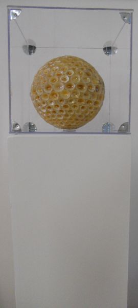 MW 13 (Normale Aufl&ouml;sung)